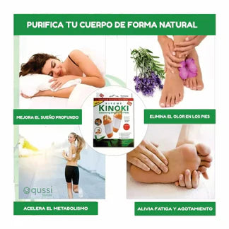 CAJA DE PARCHES DETOX KINOKI PARA PIES
